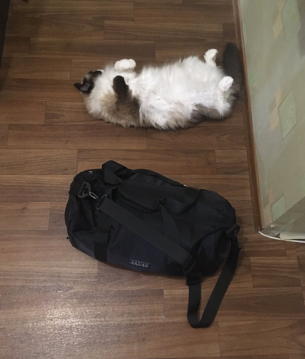 пришёл из качалки и лежит