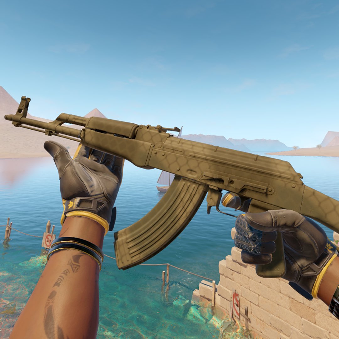 Skinvault tweet media