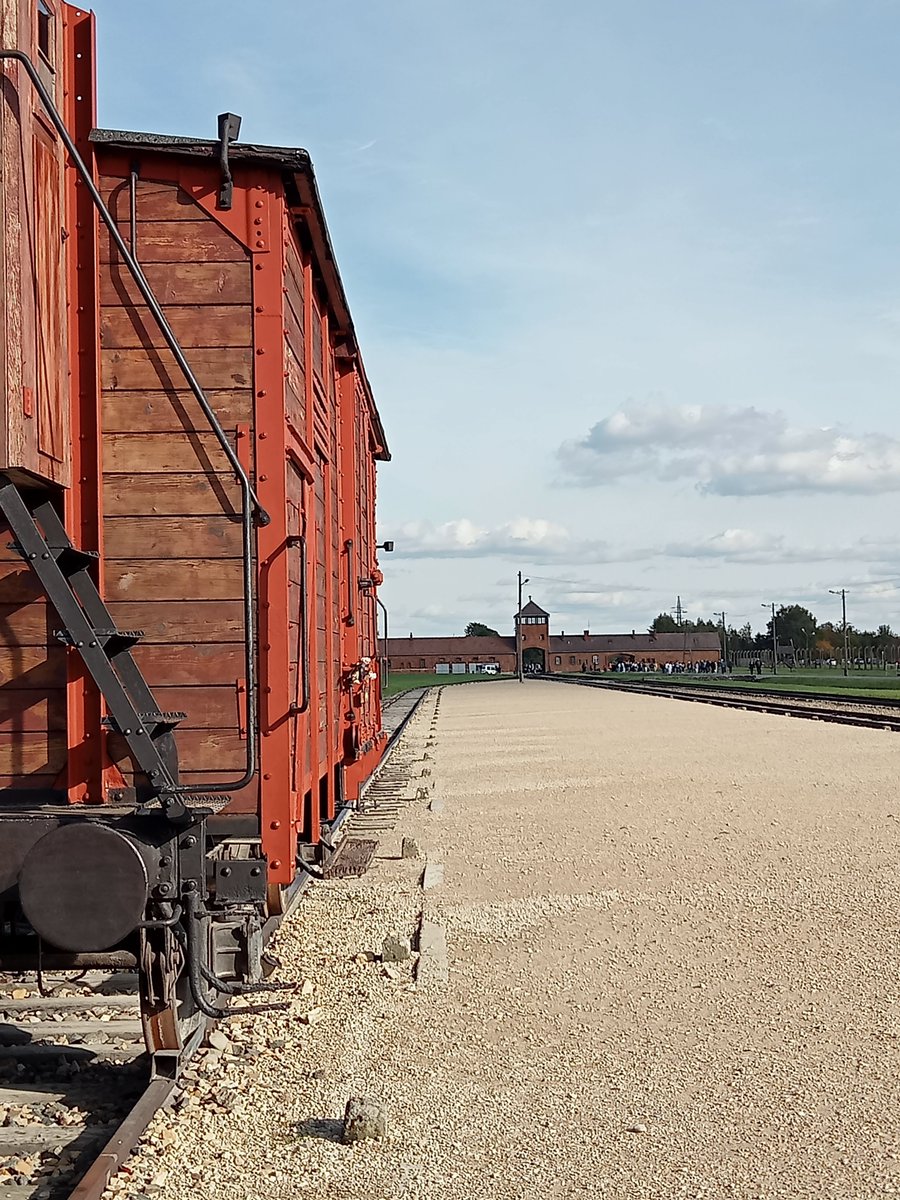 poderico's tweet image. Se è già accaduto, può accadere ancora.
Ecco perché è importante mantenere la memoria.
Ecco perché è importante prendere il testimone.