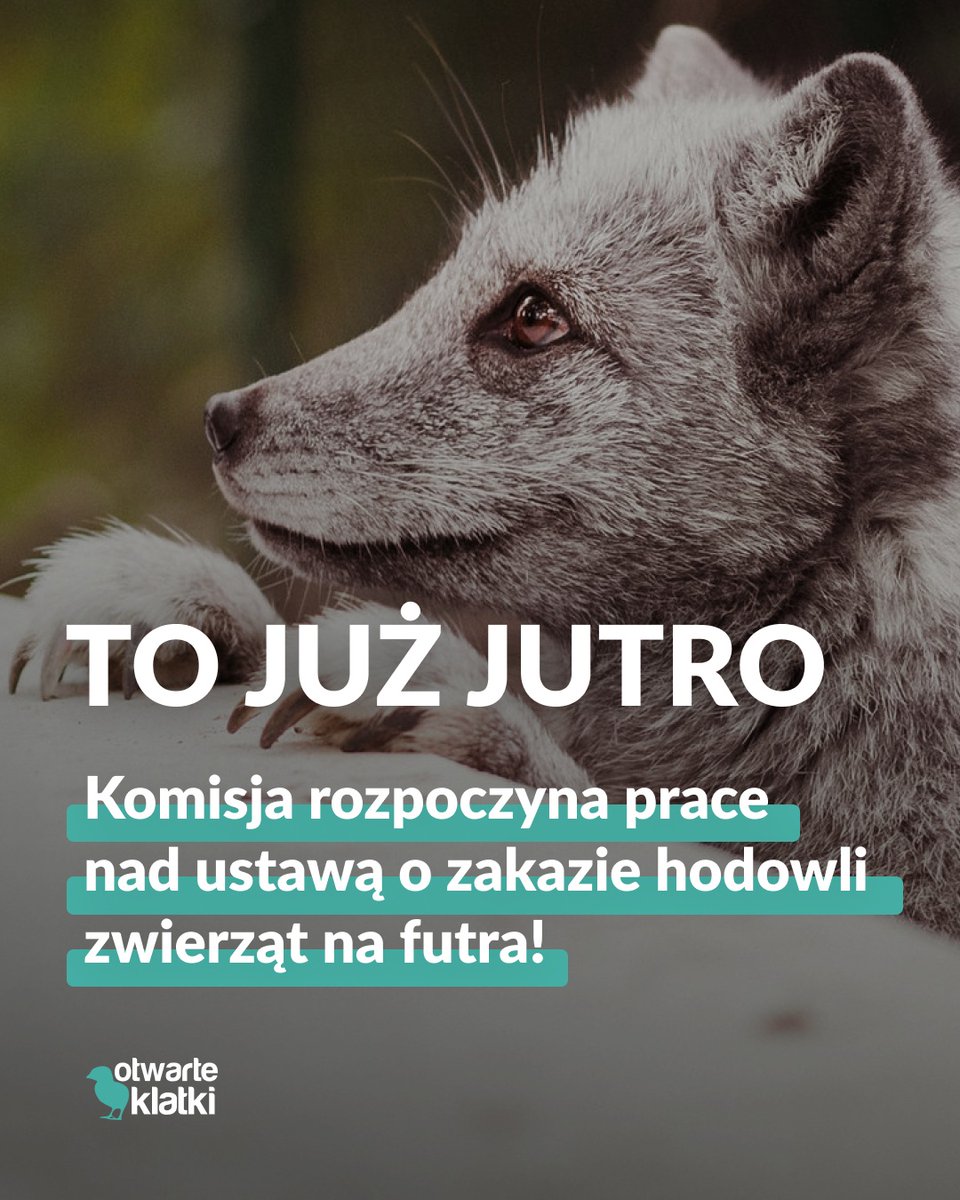 Michał "Avahir" Kudliński tweet media