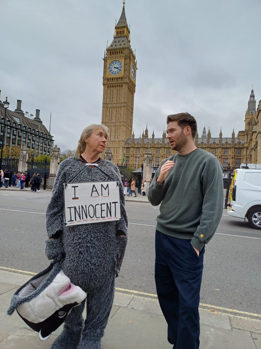 Protect the Wild tweet media