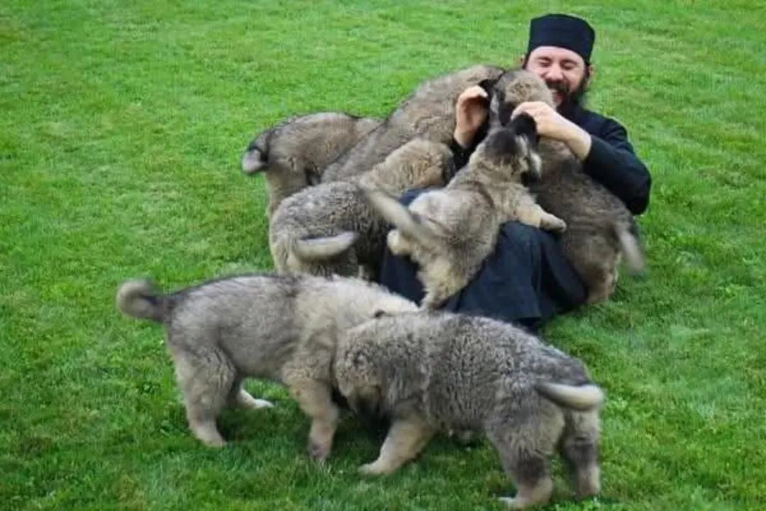 Ouvrez votre œil spirituel à la contemplation de Dieu et reconnaissez les merveilles du Seigneur dans la beauté de la création.

- Saint Nicétas Stéthatos