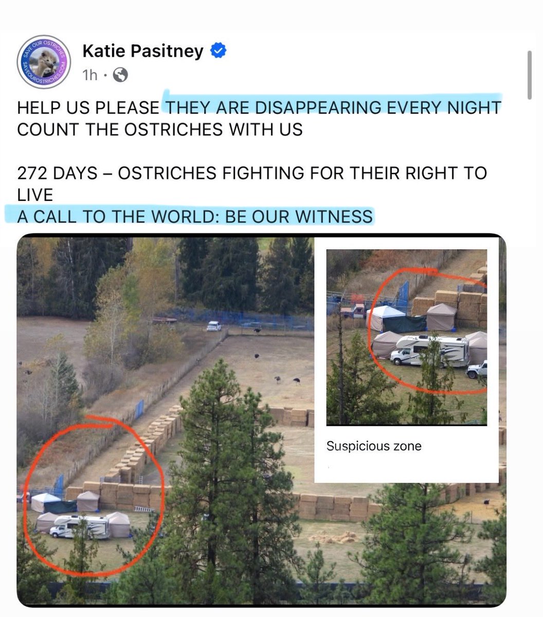 The BC ostrich Farmers are claiming that the Ostriches are now disappearing. I don’t doubt it 😒

In fact, the area outside the D€ATH PEN is very suspicious. They could easily corral 2-3 into those tents into a trailer each night to be driven away. SICKENING and very sad