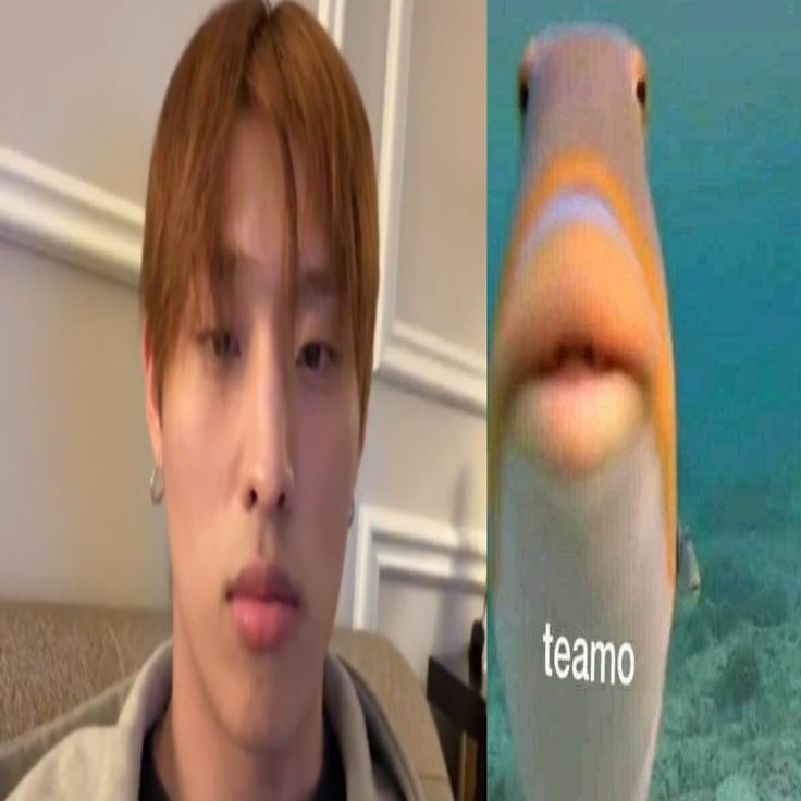 2heollis's tweet image. this genre of keeung