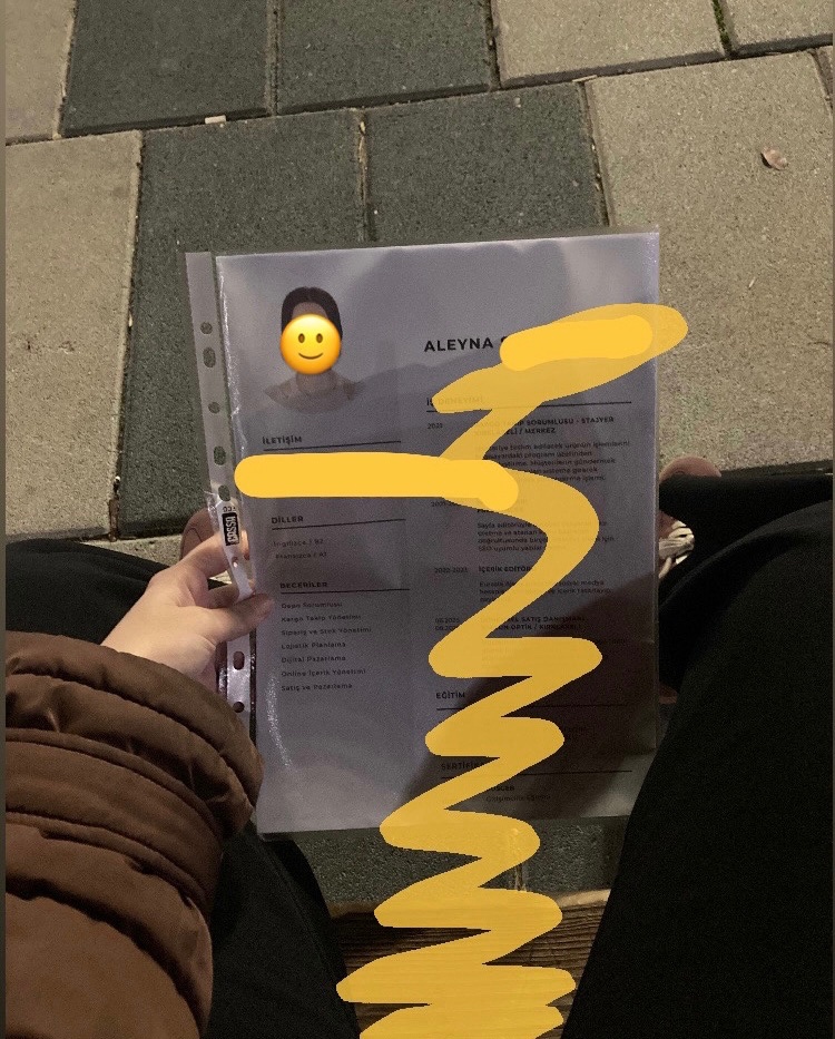 madem beni işe almıyorsunuz o zaman ben de bu cvye işerim