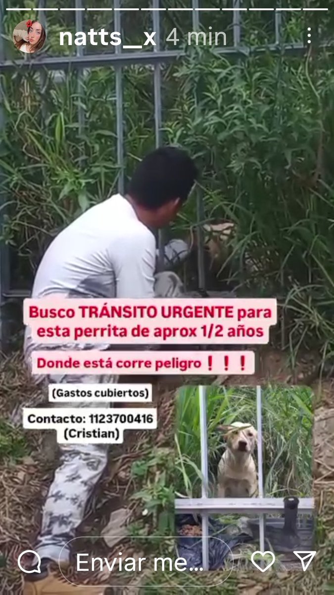 Rt
Difundimos