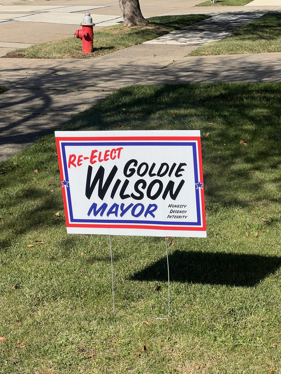 Almost forgot to put out my election sign!