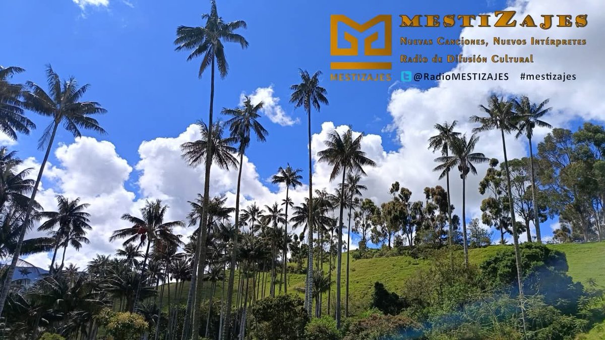 Al aire!  MESTIZAJES LATINOAMERICANO por  Emisora Cultural de Pereira 97.7FM.  <a href="/EmisCulturalRAC/">Emisora Cultural RAC</a>
Streaming:   emisoraculturaldepereira.com

#mestizajes
#RadioCultural