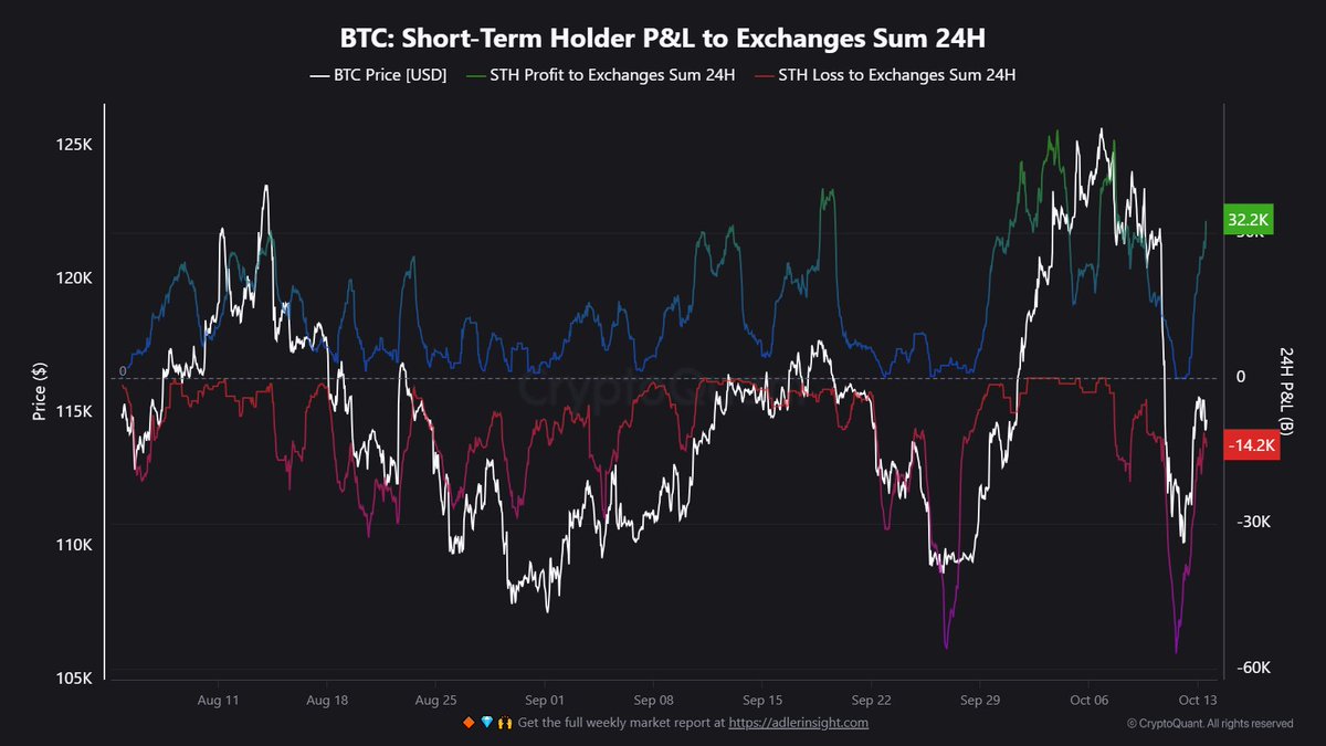 Short-Term Holders Move 46,524 Bitcoin to Exchanges: Profit-Taking And Capitulation Mix
