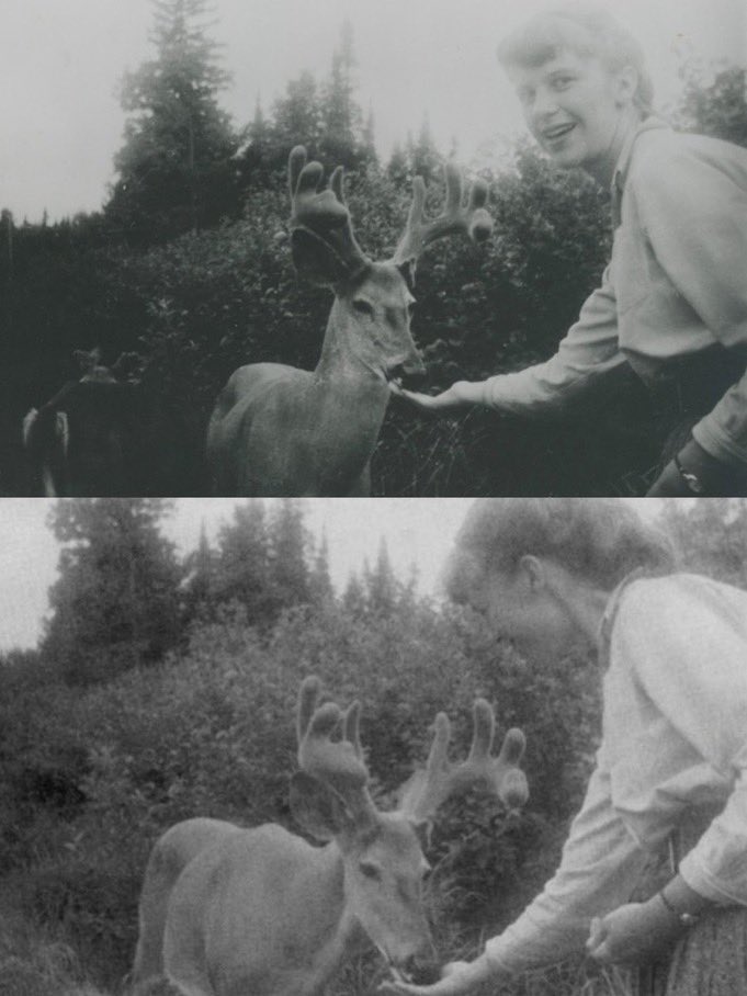 "Psikiyatra ihtiyaç duyacak kadar önemli olduğumuzu düşünüyoruz hepimiz. Ama benim tek ihtiyacım uyku, yapıcı bir tutum ve biraz da iyi şans..."

—Sylvia Plath