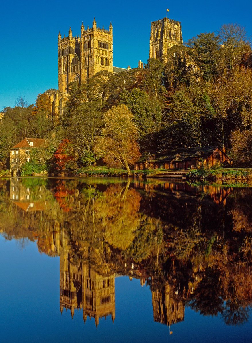 GraemePeacock1's tweet image. I mean now, it’s Autumn. I just had to, don’t I ?