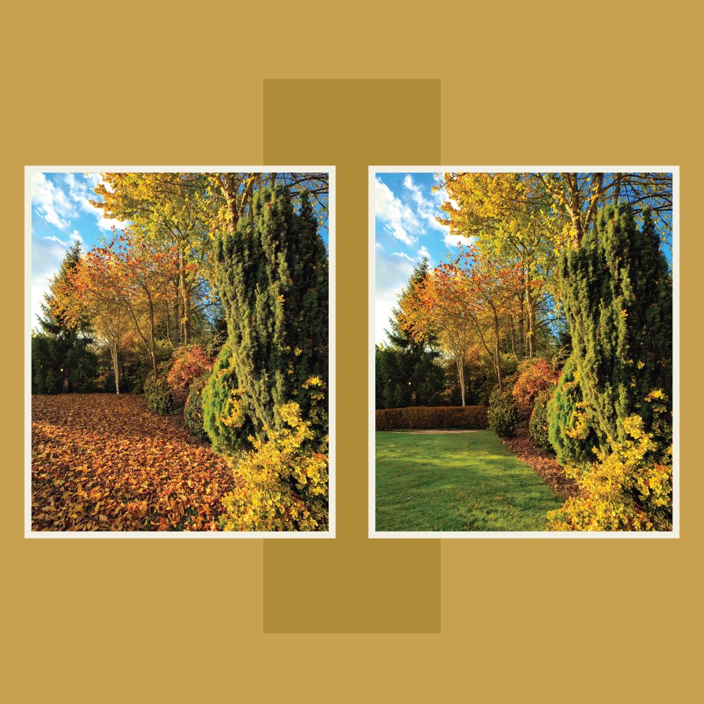 BobMcMillan3's tweet image. Fall is the best time for yard clean-up! Share your before and after photos of your fall yard transformation. What's the most satisfying part of fall?
#ColdwellBankerMcMillan&amp;amp;Associates #RealEstateDecaturAL #DecaturRealtor