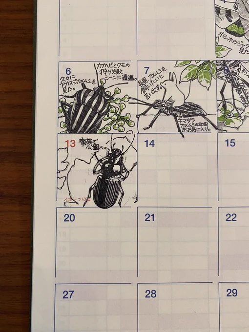 長男が公園で見つけたゴモクムシのなかまを描きました。虫は好きだけれど全然分からないので帰ってから図鑑を見たり画像検索したりして調べるんですが、それもまた楽しい。 