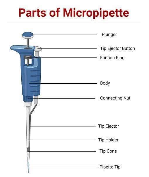 Malcomskylar's tweet image. Parts of #micropipette 
#malcomskylar #pipette #chemistry #laboratoryequipment