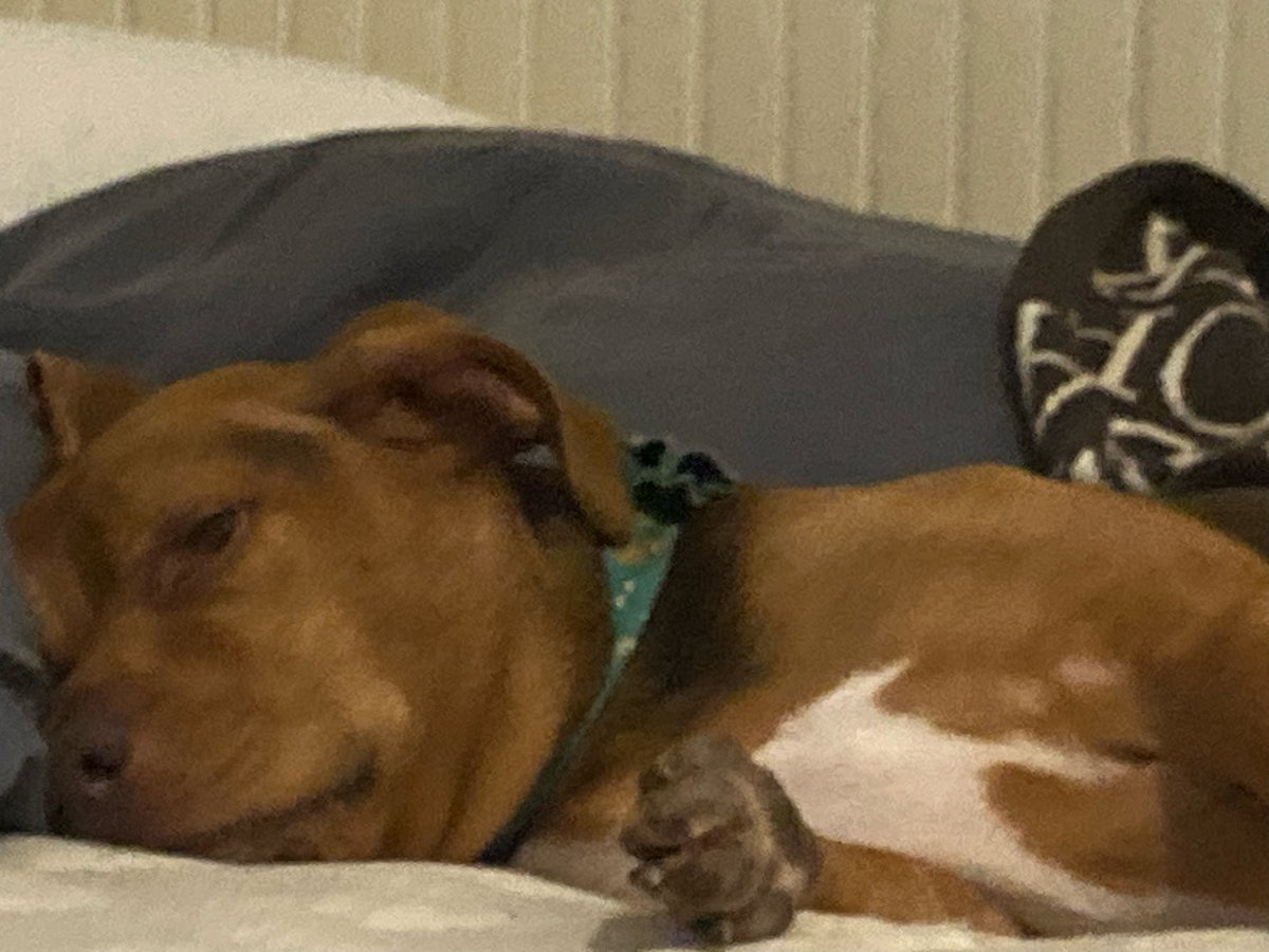 the face of a guy who chewed thru the literal fucking floorboards and got stuck down there till dad got home