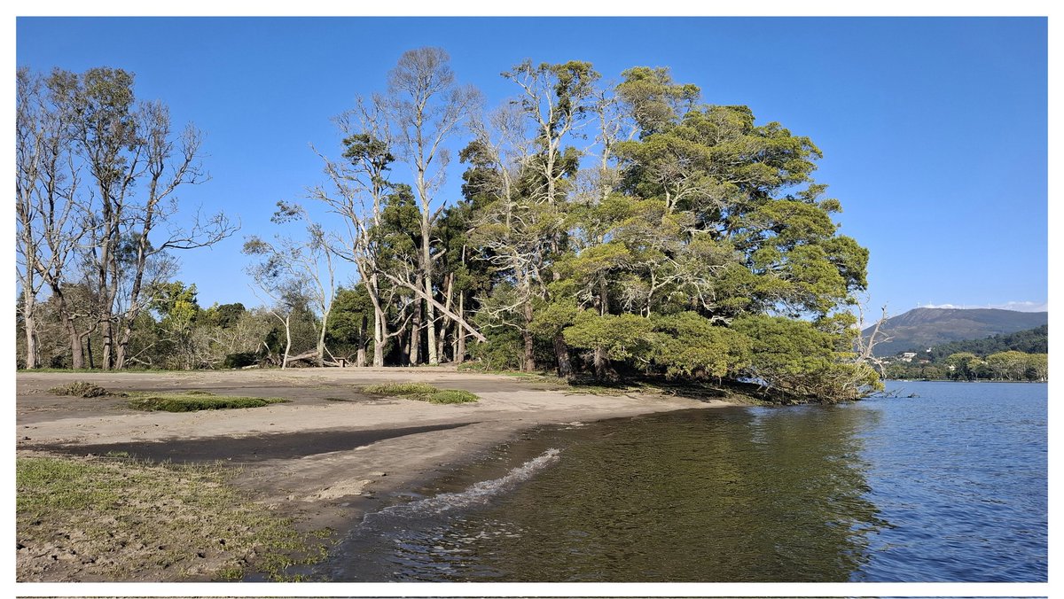 Laboratorio da Paisaxe 2025
#BaixoMiño