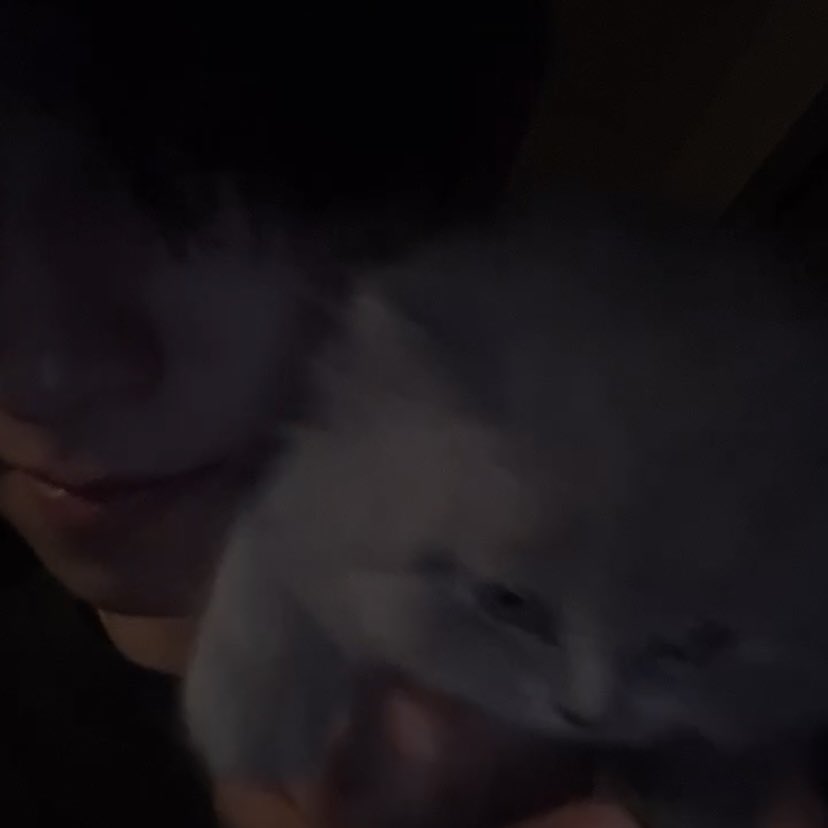 nawlytm's tweet image. I love meow🐱 💖

#tthomastc