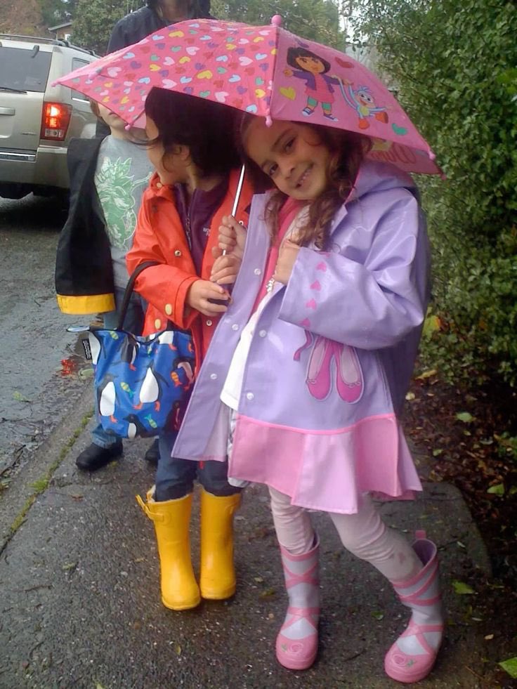 f’🌸 tweet media