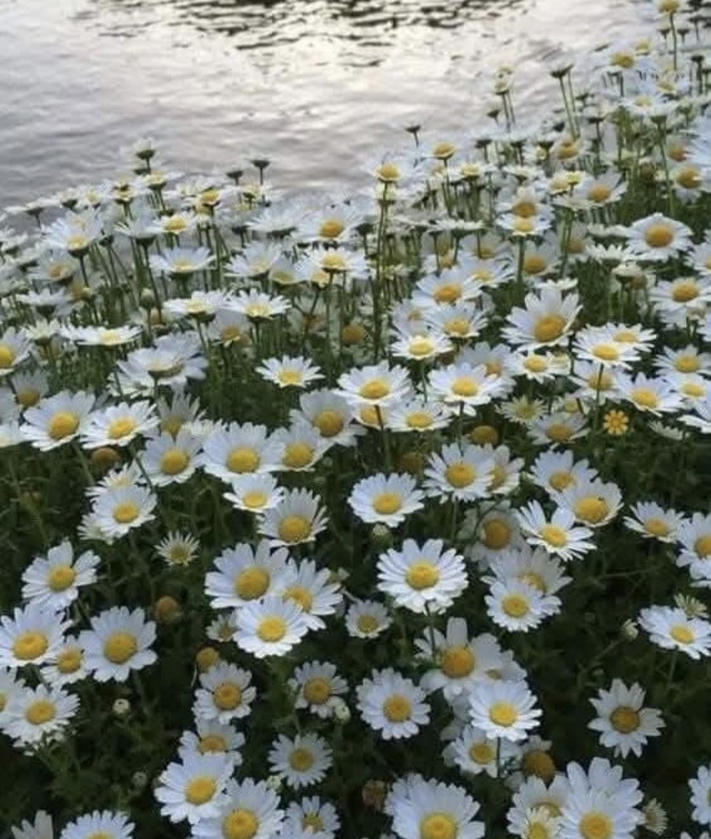 Hello everyone.  Hope this makes you smile.😘