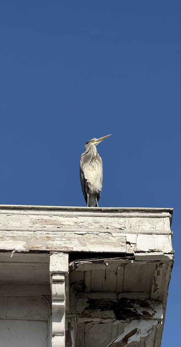 Michael Khryashchev tweet media