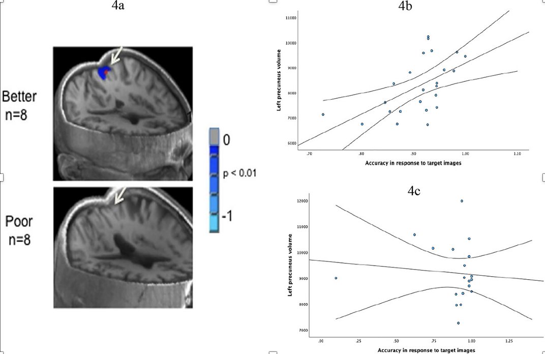 Yang Jiang Clark tweet media
