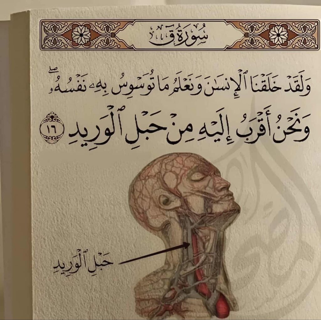 Abdulaziz. tweet media