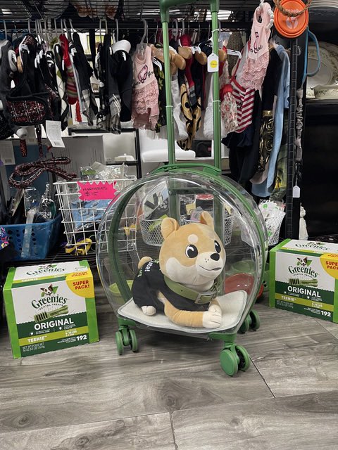 START Rescue tweet media