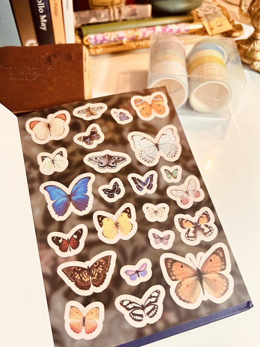 Biraz #journal alışverişi 🐚✨🪞