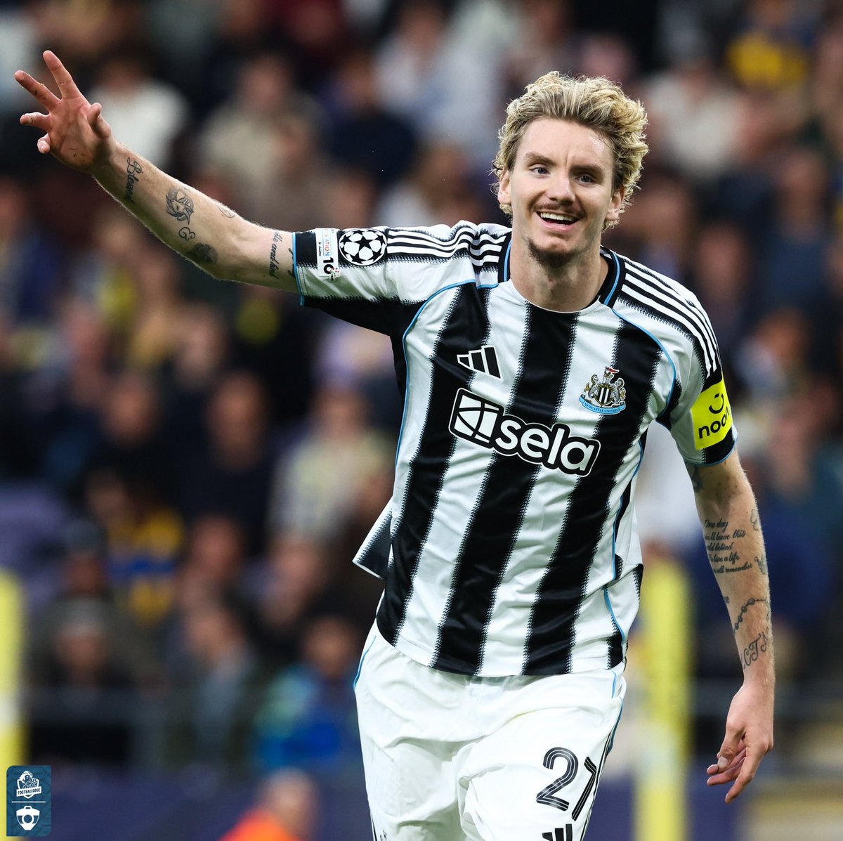 Acheté 75M€ par Newcastle, Nick Woltemade est en train de tout 𝗖𝗔𝗦𝗦𝗘𝗥 avec les Magpies et l’Allemagne 🇩🇪👏

⚽️ vs l’Irlande du Nord
❌ vs Luxembourg
⚽️ vs Nottingham
⚽️ vs Royale Union SG
⚽️ vs Arsenal