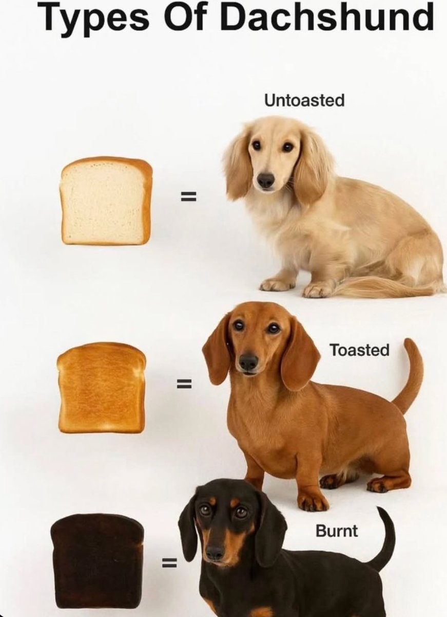 twaniimals's tweet image. 