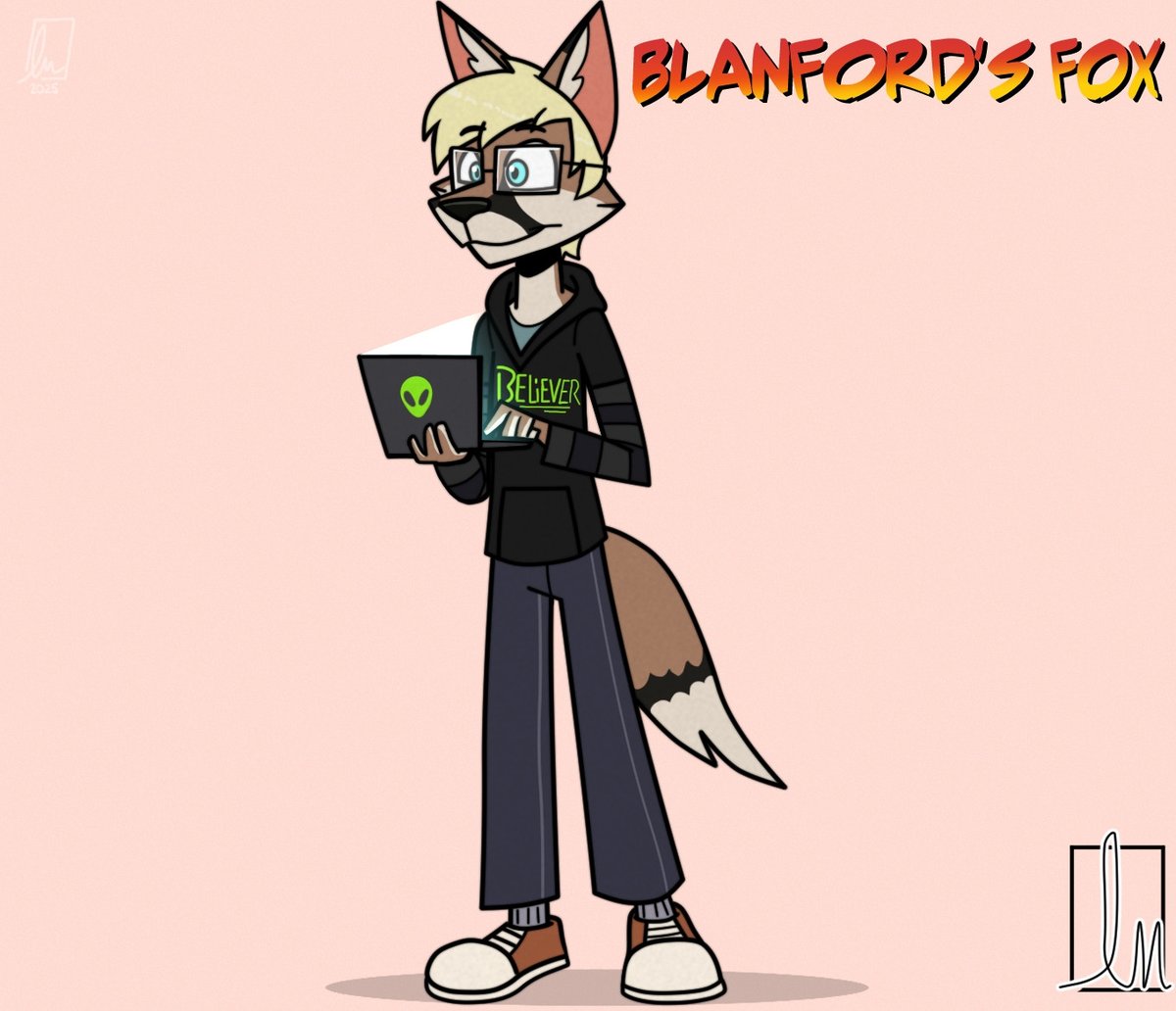 IMerkovich's tweet image. 13. Blanford&apos;s Fox
#foxtover2025 #foxpopvli