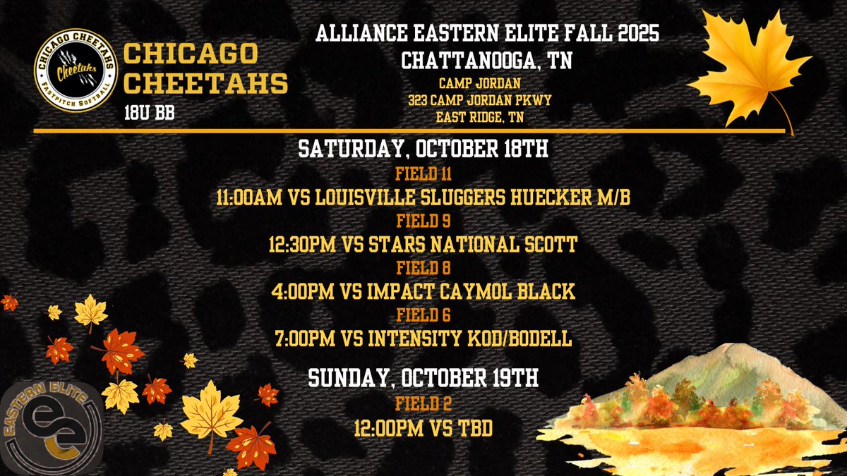 Fall is in Chattanooga 🍁 Join us at the Alliance Eastern Elite Fall Tournament 🍁
If you can’t be there, watch us here 🎥: youtube.com/@chicagocheeta…
<a href="/ConnectSports_/">Connect Sports</a> <a href="/thealliancefp/">The Alliance Fastpitch</a>