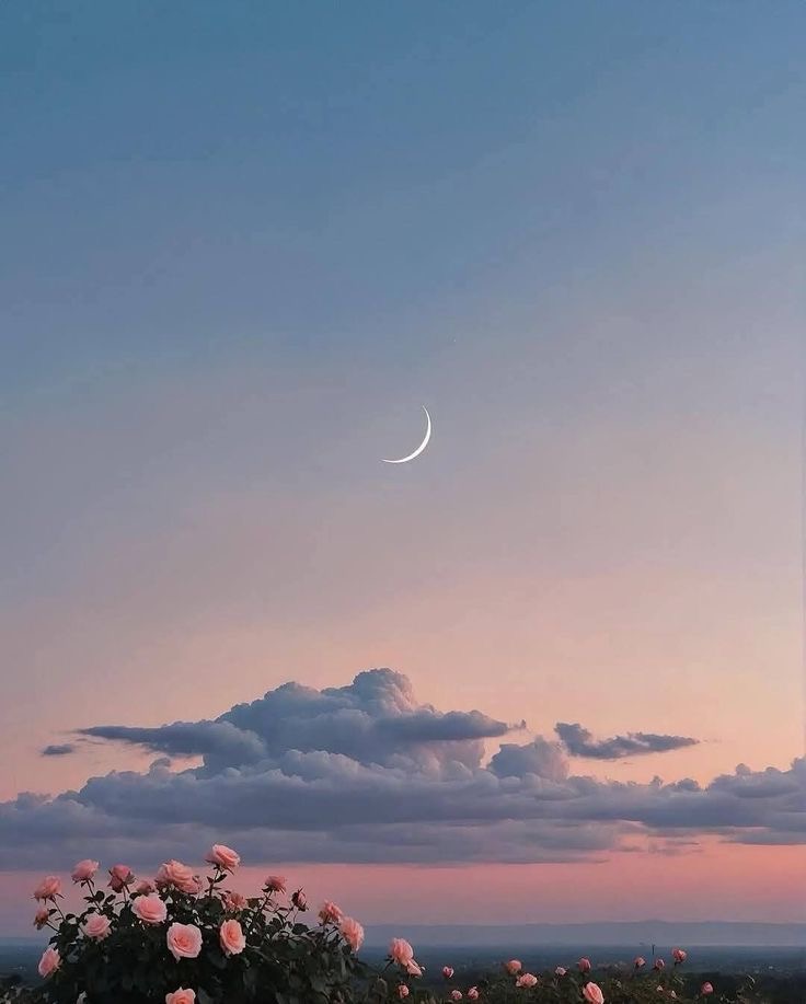 astro4pics's tweet image. 