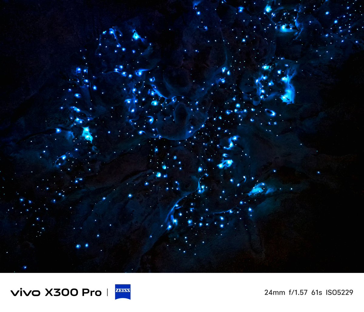 TechHome100's tweet image. Vivo X300 Pro camera samples 
#vivo #vivoX300 #vivoX300Pro