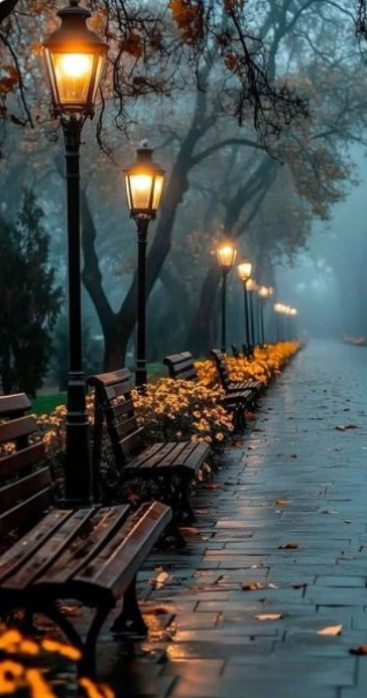 Biraz vicdan,
biraz bahar.
Biraz yağmur,
biraz hayal.
Biraz kitap
çokça umut.
Herkese iyi gelir. 

#iyigeceler