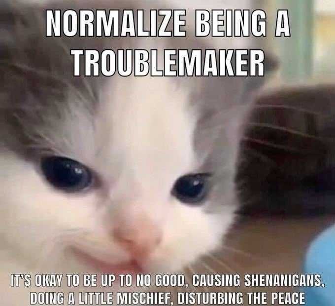 tom 🐵 (@muhnkee) on Twitter photo 