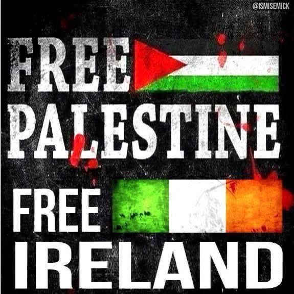 Irish Unity 🇮🇪🇵🇸 tweet media