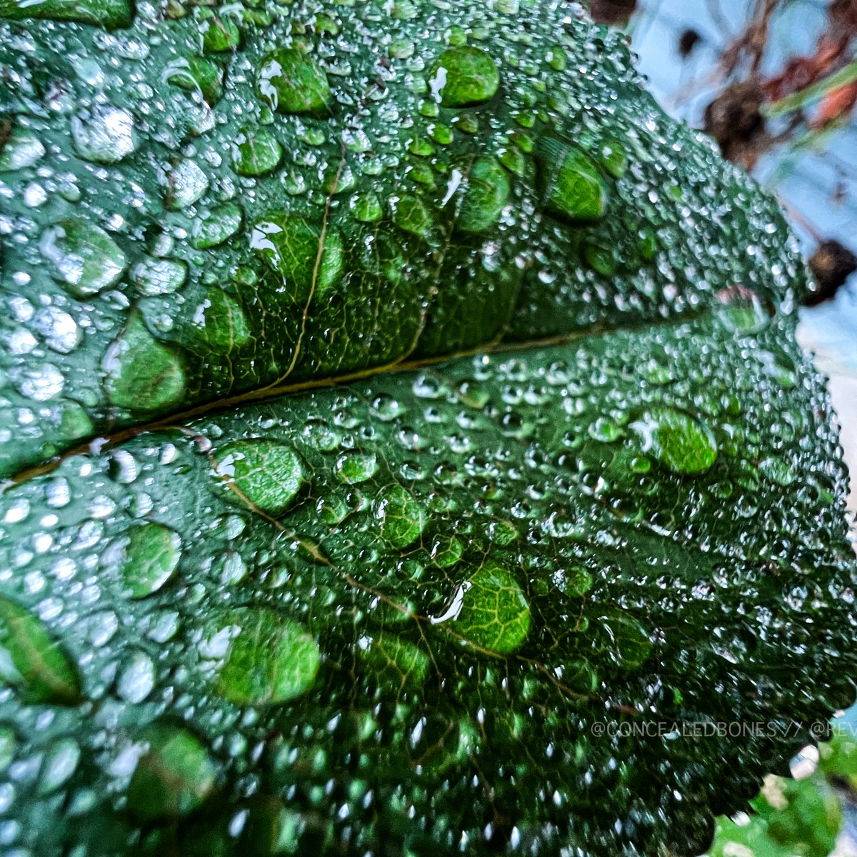 nature is neat