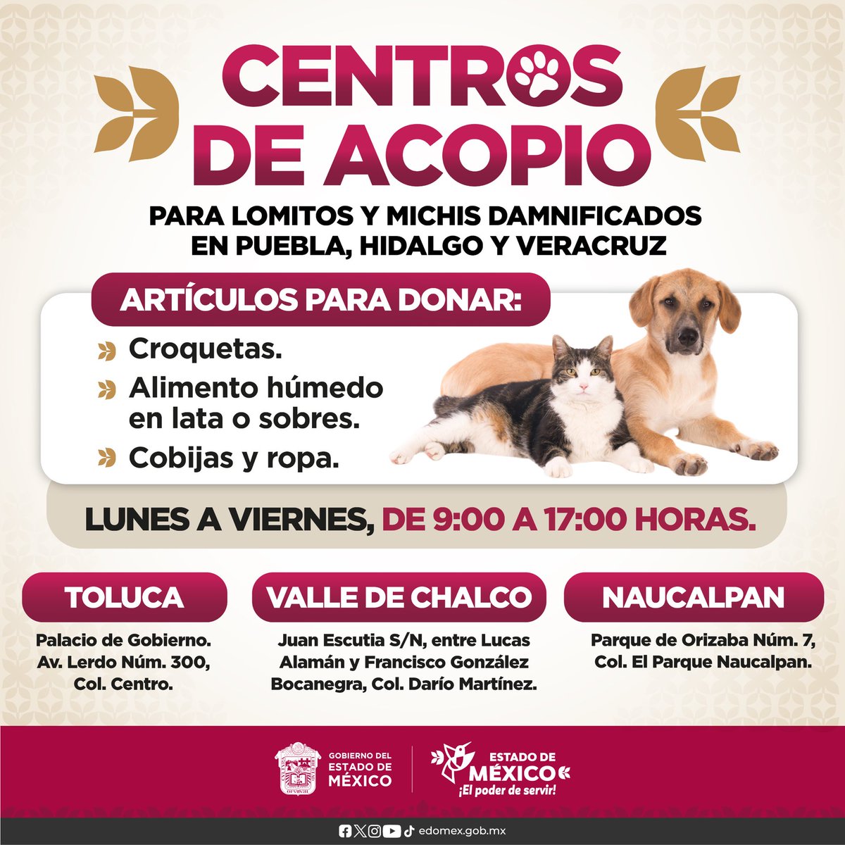 delfinagomeza's tweet image. 🐶🐱 #AcopioEdoMex | Apoyamos a lomitos y michis que también se vieron afectados por las intensas lluvias.
En los Centros de Acopio de Toluca, Valle de Chalco y Naucalpan se reciben donaciones para los seres sintientes de Puebla, Hidalgo y Veracruz.
#ElPoderDeServir…