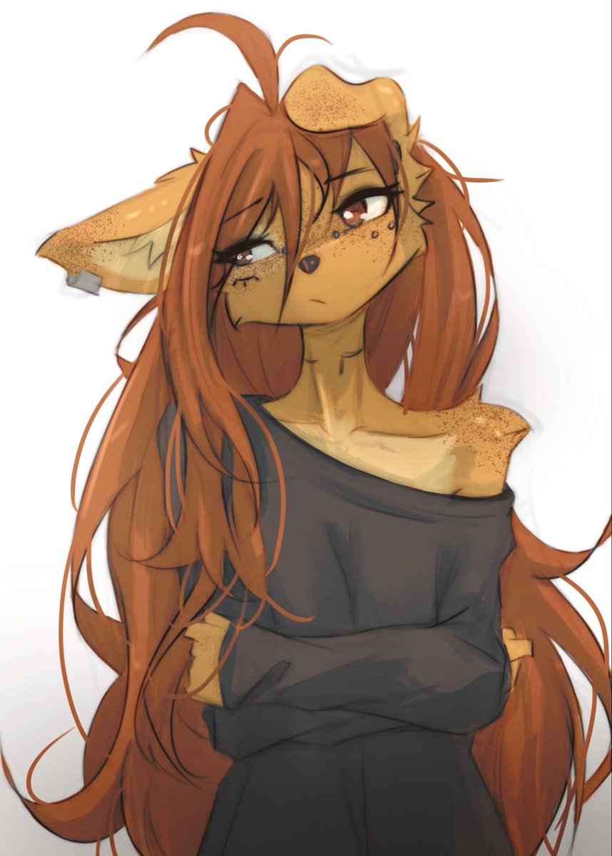 tinygaypirate's tweet image. 