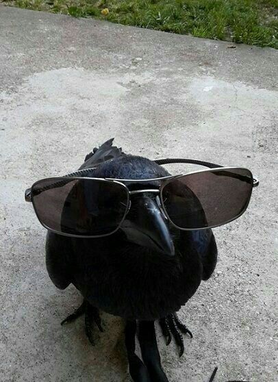 <a href="/infinityg_ai/">InfinityGround</a> and <a href="/Assemble_io/">Assemble AI</a> combo is kinda crazy

InfinityGround lets you build dApps without knowing how to code. like actually just type what you want in plain english and it handles the rest. 

Assemble AI is basically your personal news filter for crypto. their AI agents