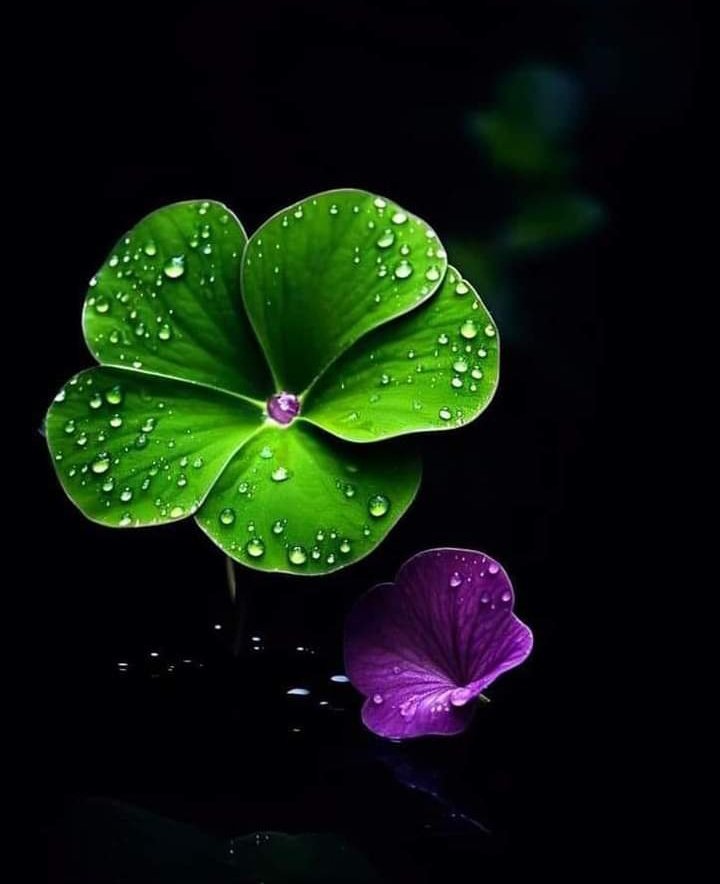 ............ 

Bir bilsen ""GÖNÜL"" bahçemde   sana hayran
Ne ""ÇİÇEKLER"" açıyor...!!! 

Ⓜ️...........