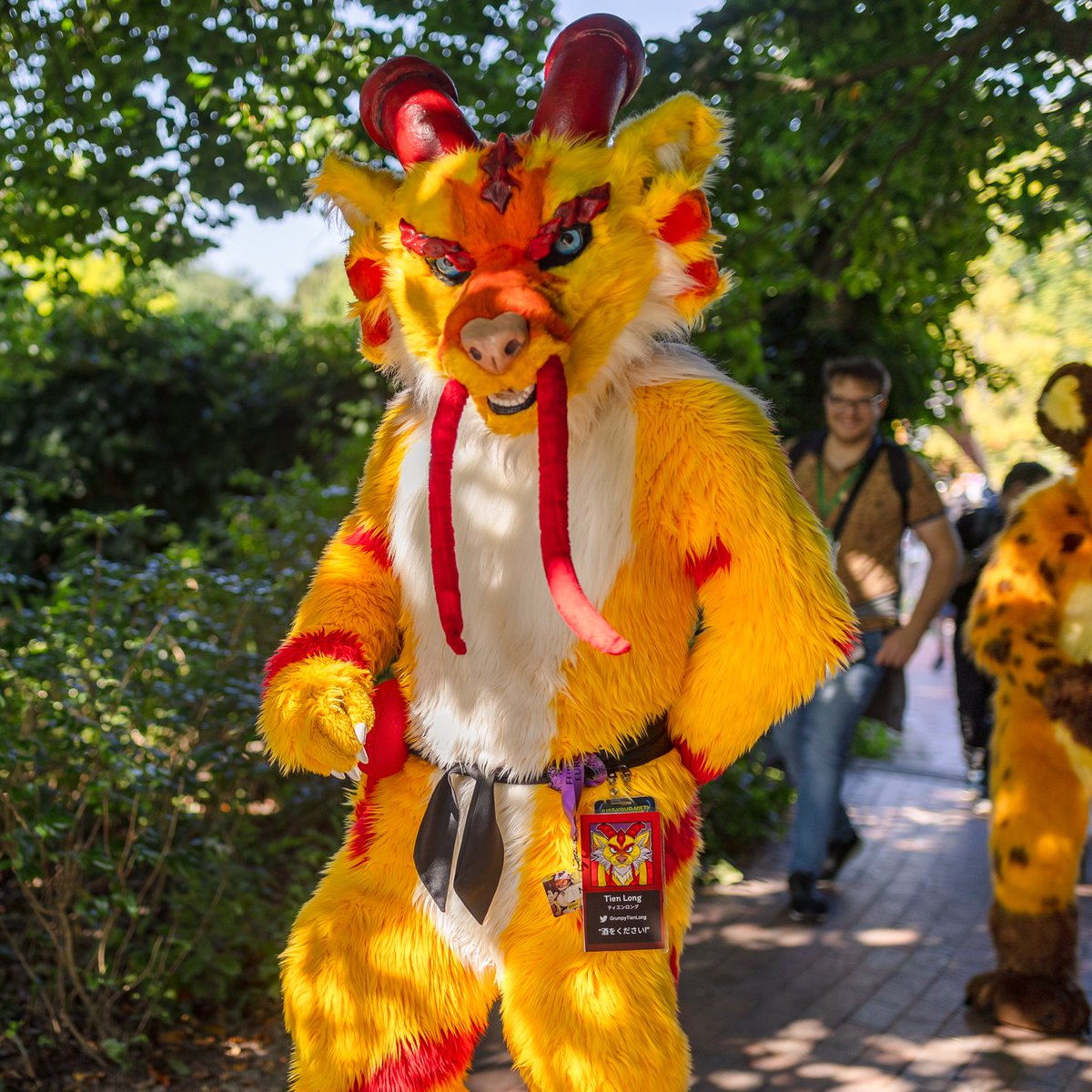 I'm so excited to be attending Infurnity for the first time in two weeks, and back to Taiwan after 13 years! Time to practice my very bad Mandarin 😂

Look for the happy noodles and the grumpy noodles, they'll both be there! 🐉🐉

📸 Hyper + Kachu (FurTrack) #FursuitFriday