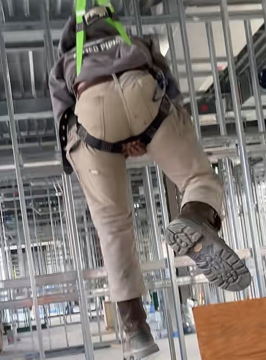 whiskerylake45's tweet image. 