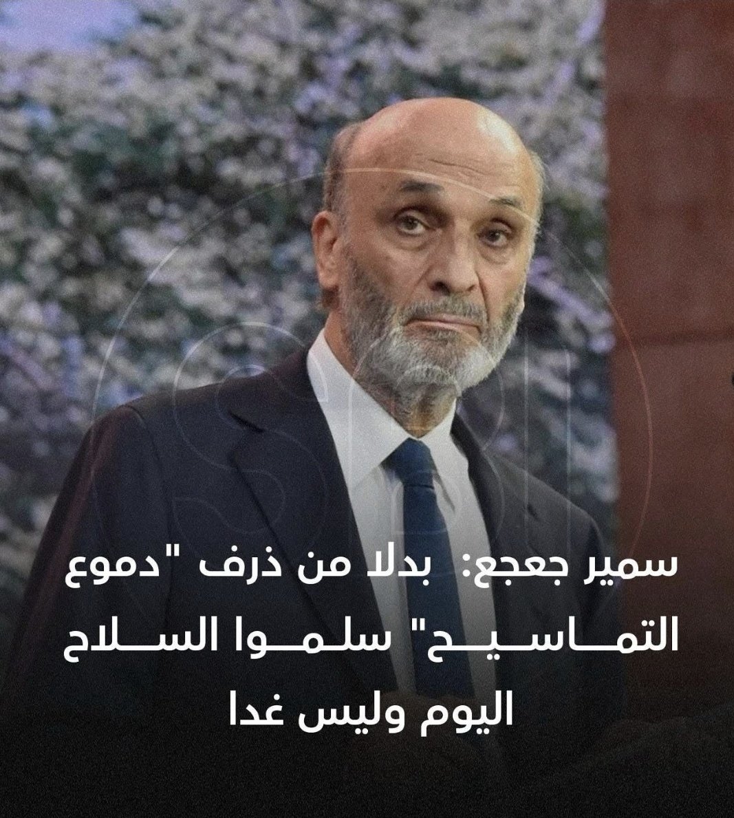 #سلم_السلاح