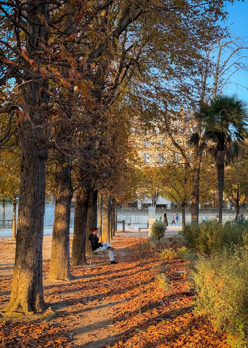 maximevisticot's tweet image. Si vous n’êtes pas allé vous balader dans Paris ce week-end : vous avez raté