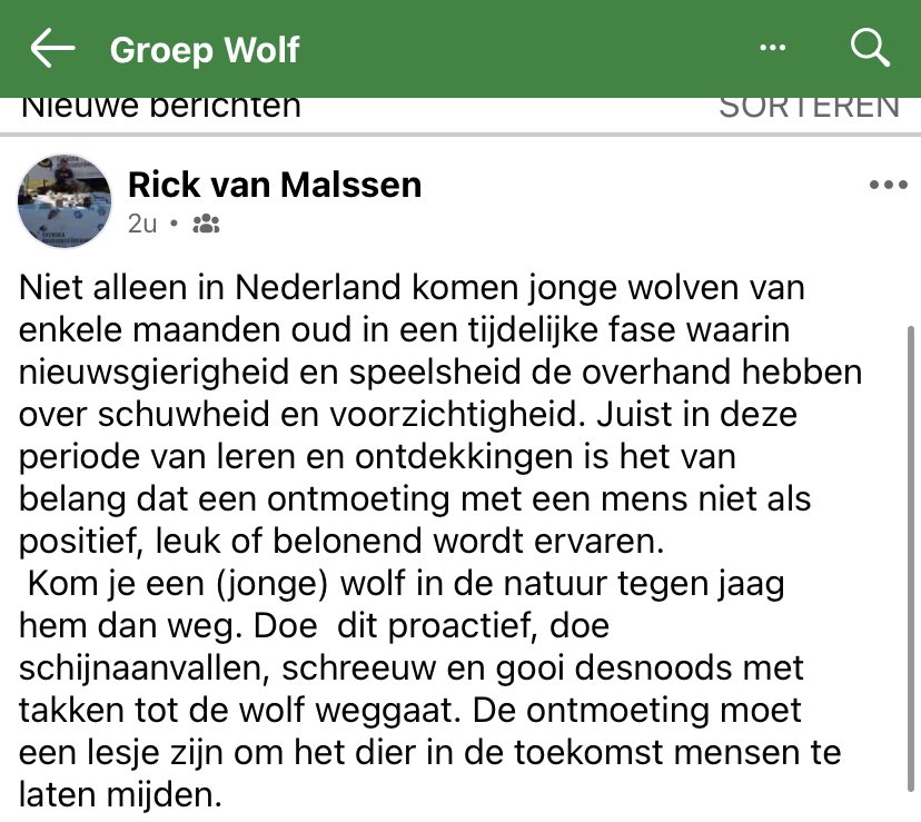 Het is weer ontzettend druk in het territorium van wolf Bram. 

Ook al mag je hond los: doe het niet.

Zeker nu welpen in nieuwsgierige fase komen: pas je gedrag aan en ga bij voorkeur niet naar kerngebied. Er zijn volop andere bossen onder A12.

wolvenutrecht.nl/nieuws/honden-…

Tips:
