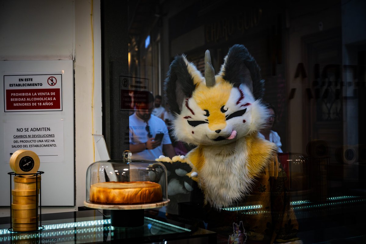 Kohaku Sun going shopping ✨

#furry #fursuit #fursuiter