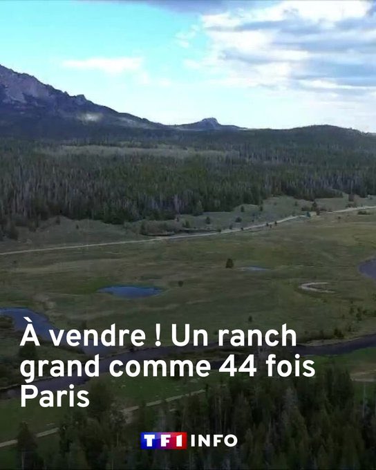 ElCrackitoDuNet's tweet image. Bonjour je suis Stéphane Plaza. La superficie de Paris est d'environ 105,4 km². Un ranch 44 fois plus grand que Paris a une superficie de 4 637 600 000 m². 4 637 600 000 m² × 10 000 €/m² = 46 376 000 000 000 €
Prix du bien net vendeur : 46 376 000 000 000 € (46 trillions)
