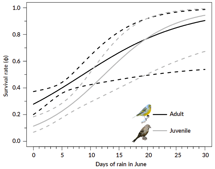 Juan Carlos Senar tweet media